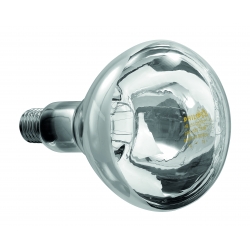 Lampa na podczerwień IWL250D-W